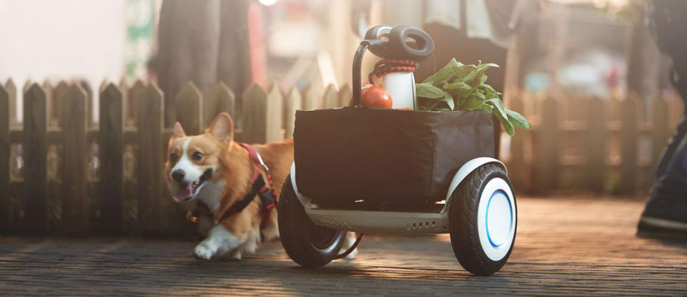 Xiaomi Ninebot Mini Plus - собака доставляет продукты домой